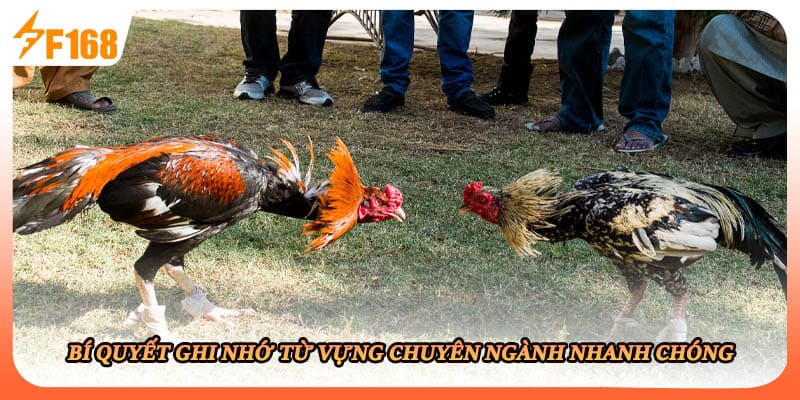 Bí quyết ghi nhớ từ vựng chuyên ngành nhanh chóng