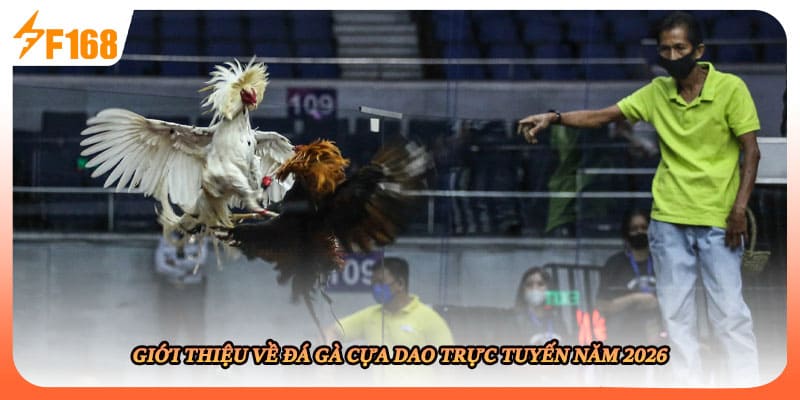 Giới thiệu về đá gà cựa dao trực tuyến năm 2026