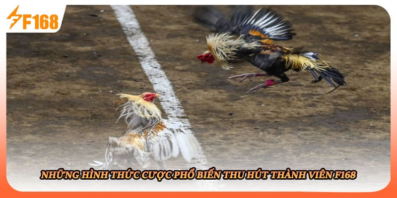 Những hình thức cược phổ biến thu hút thành viên F168