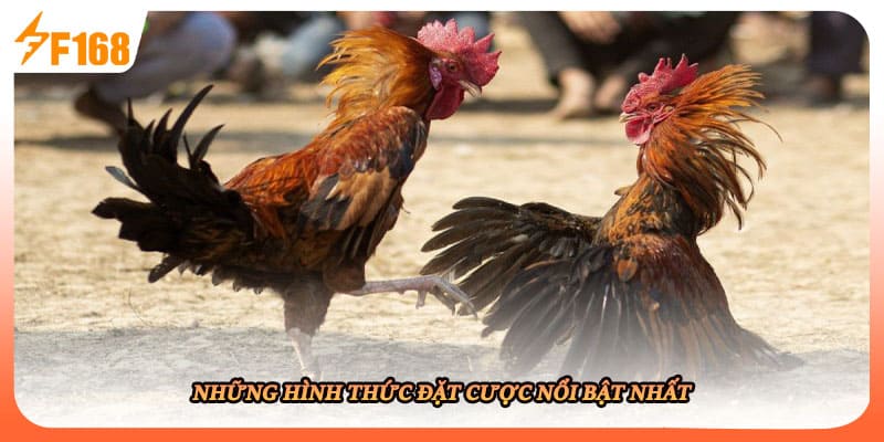 Những hình thức đặt cược nổi bật nhất